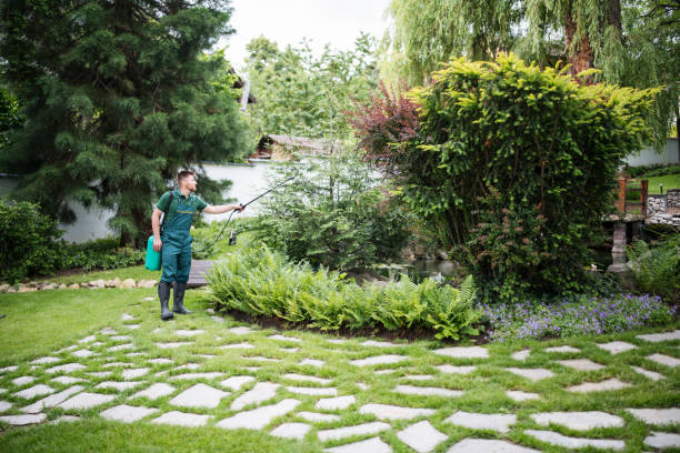 Best Ant Control Services  in Fort Washington, MD
