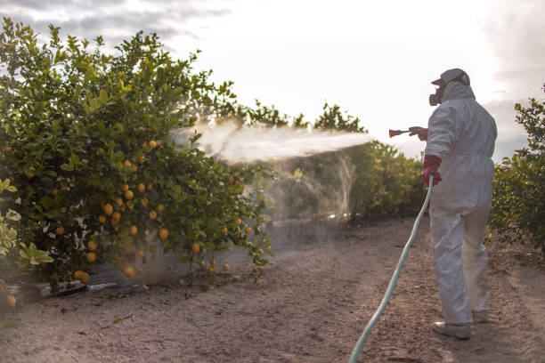 Best Affordable Pest Control Services  in Fort Washington, MD