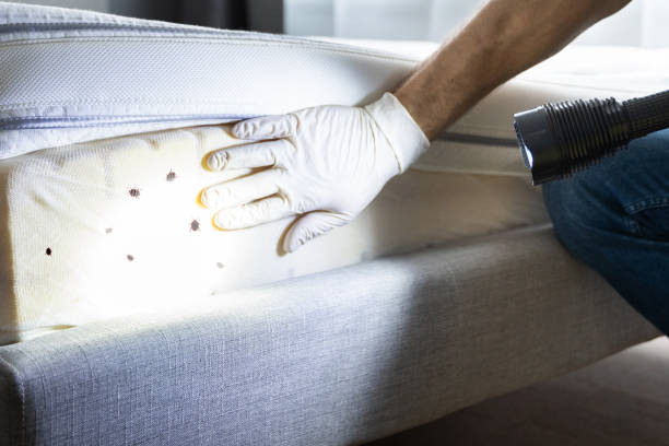 Reliable Fort Washington, MD Pest Control Solutions