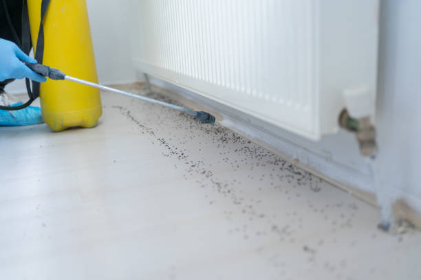 Best Emergency Pest Control  in Fort Washington, MD